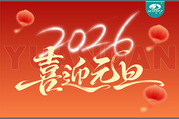 董事長周芳女士新年獻詞：心有定力，沐光而行